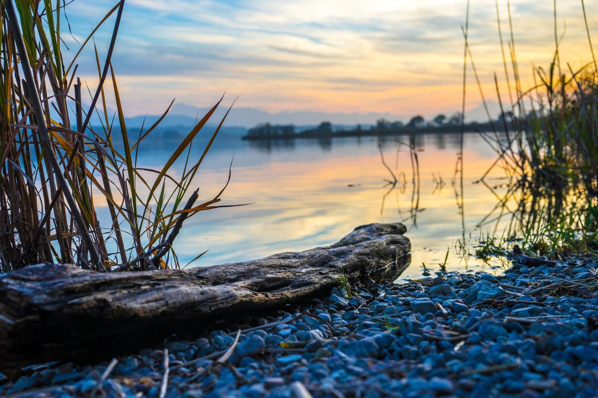 Am See 90 Seekirchen am Wallersee Eksteriør bilde
